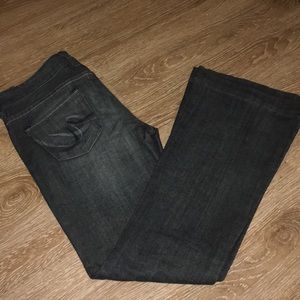 Gray wash Express Stella Fit and Flare jeans